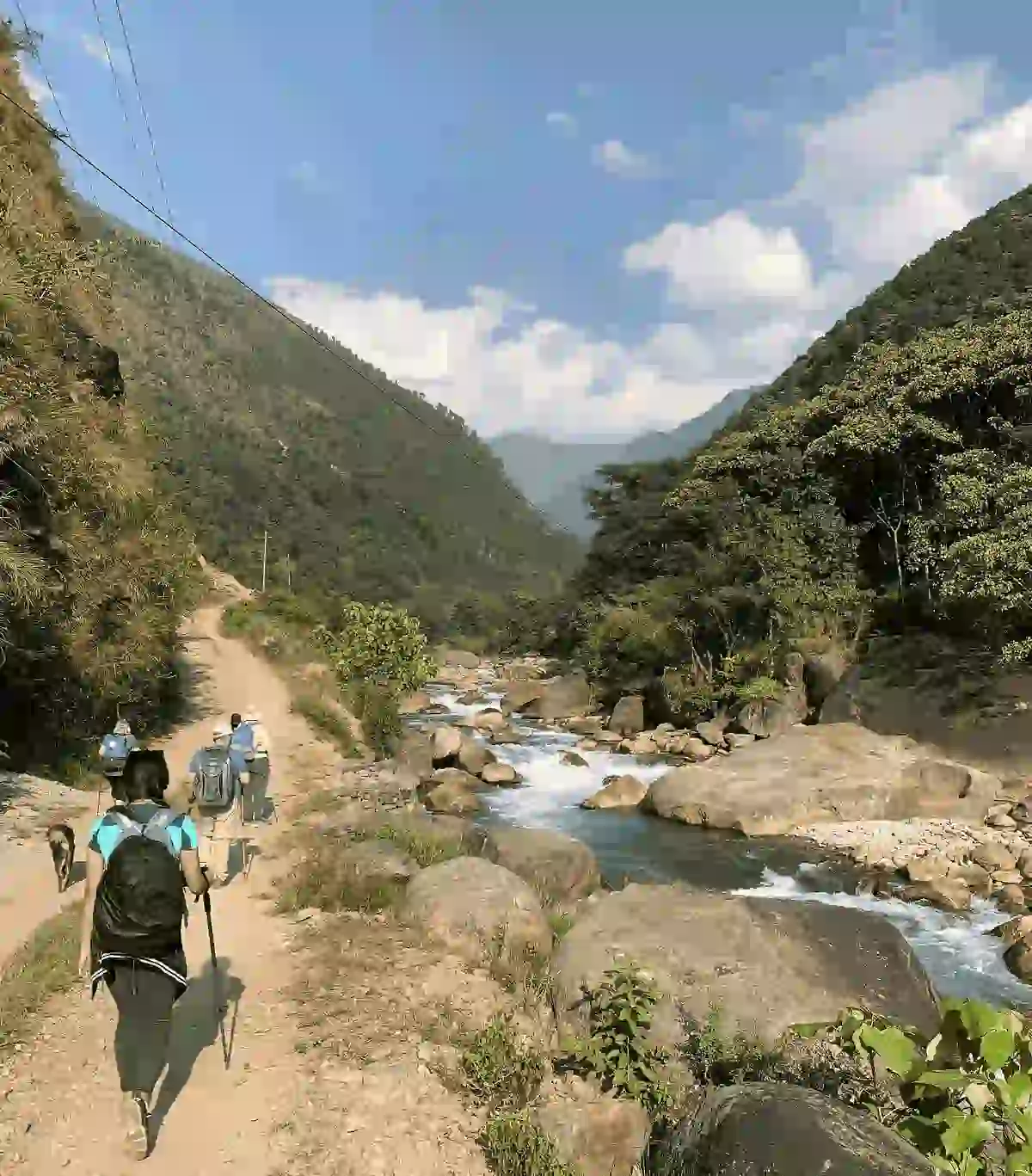 SASANE Sisterhood's first tourist route launch — survivors leading their inaugural city tour