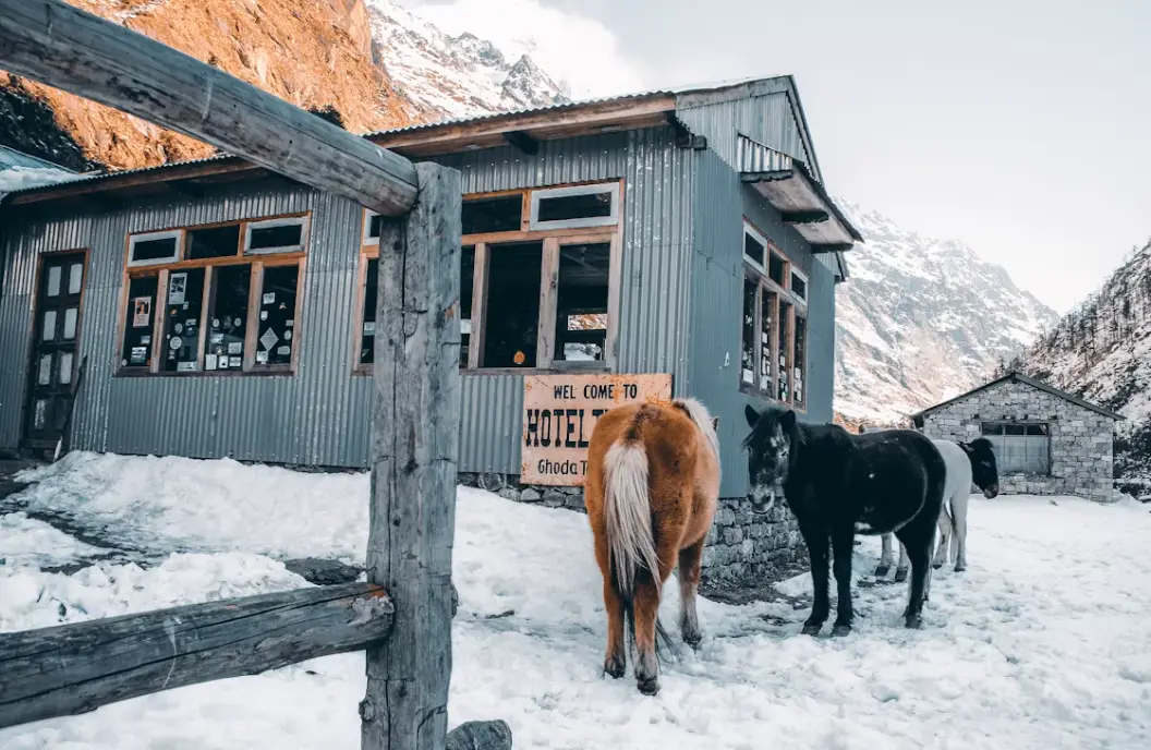 Traditional tea house lodge in Langtang Valley with mountain views and warm hospitality