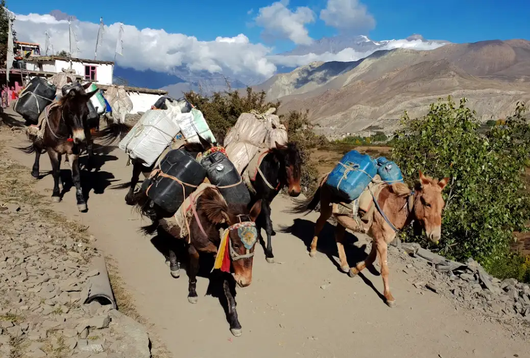 Dramatic red and ochre desert landscapes of Upper Mustang resembling Tibetan plateau