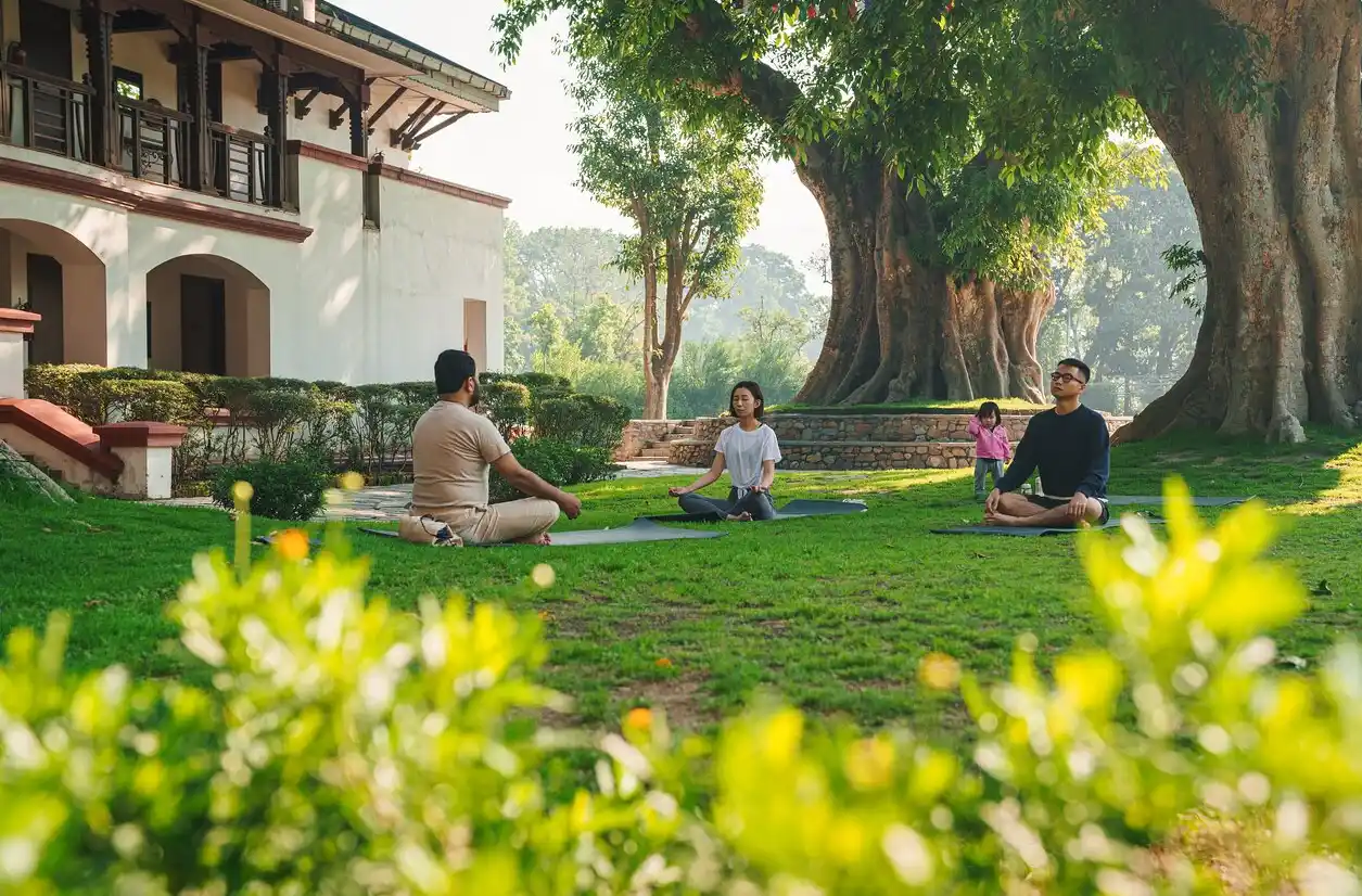 Ayurveda Wellness Escape